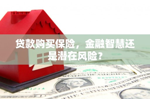 西陵贷款购买保险，金融智慧还是潜在风险？