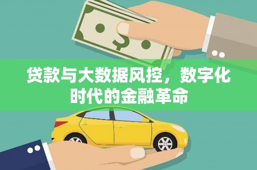 定州贷款与大数据风控，数字化时代的金融革命