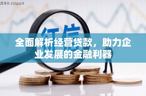 泗阳全面解析经营贷款，助力企业发展的金融利器