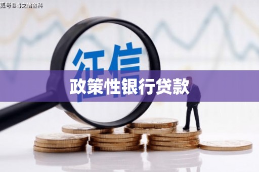 乾安政策性银行贷款