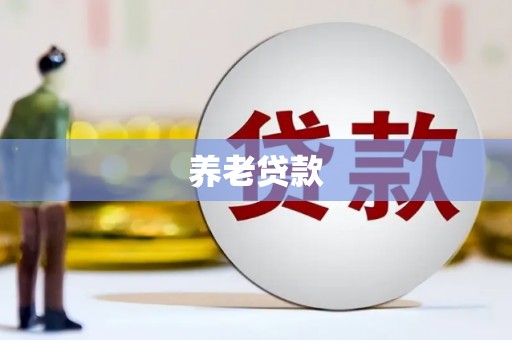 金湖养老贷款