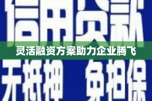 咸宁灵活融资方案助力企业腾飞
