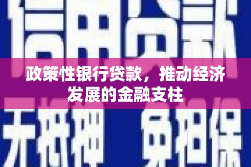 当涂政策性银行贷款，推动经济发展的金融支柱
