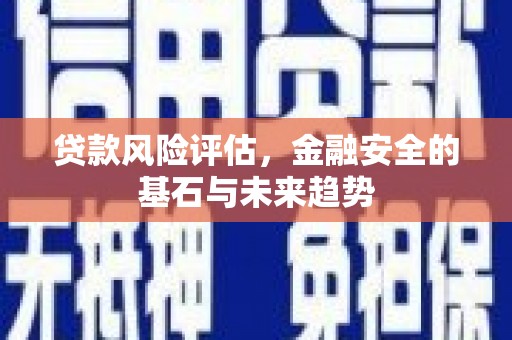 得荣贷款风险评估，金融安全的基石与未来趋势