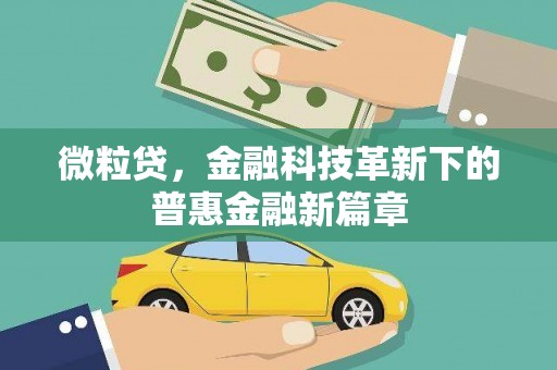 盈江微粒贷，金融科技革新下的普惠金融新篇章