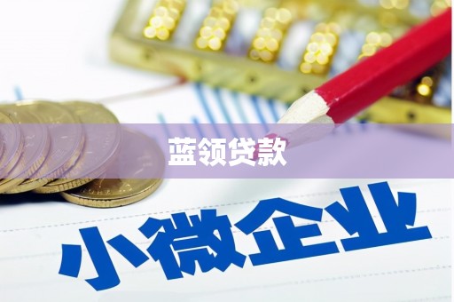 崇仁蓝领贷款