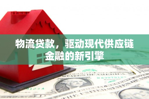 路环岛物流贷款，驱动现代供应链金融的新引擎