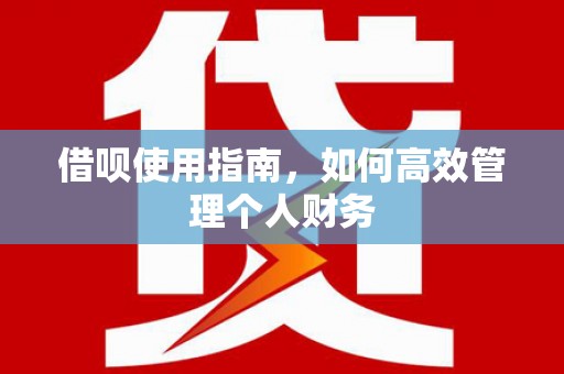 武隆借呗使用指南，如何高效管理个人财务