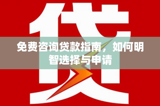茂林免费咨询贷款指南，如何明智选择与申请