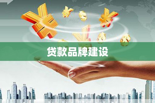 苍溪贷款品牌建设