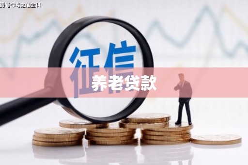 虞城养老贷款