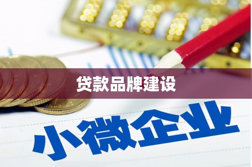 桑日贷款品牌建设