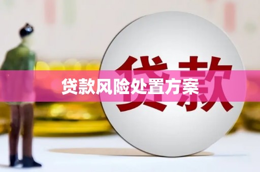 岢岚贷款风险处置方案