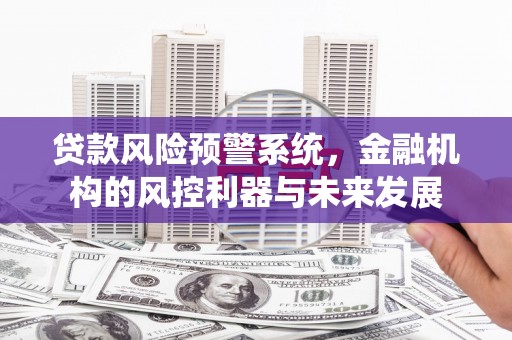 乌什贷款风险预警系统，金融机构的风控利器与未来发展