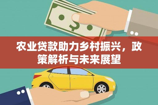 铁西农业贷款助力乡村振兴，政策解析与未来展望