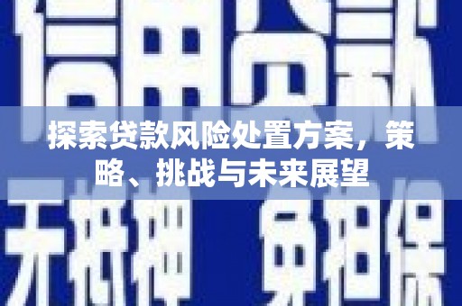 安远探索贷款风险处置方案，策略、挑战与未来展望