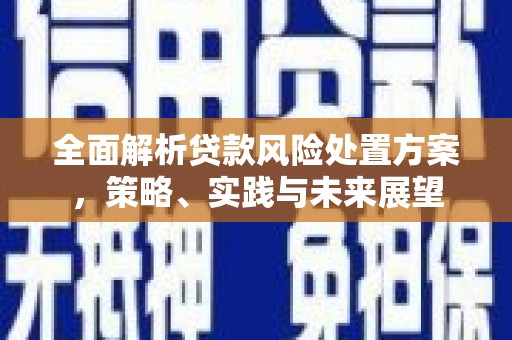 河津全面解析贷款风险处置方案，策略、实践与未来展望