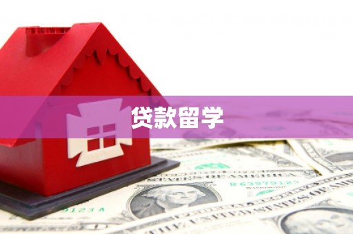 天峨贷款留学