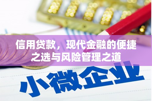 遂昌信用贷款，现代金融的便捷之选与风险管理之道