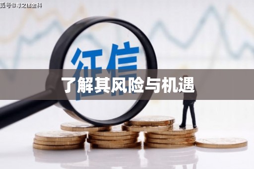 清镇了解其风险与机遇
