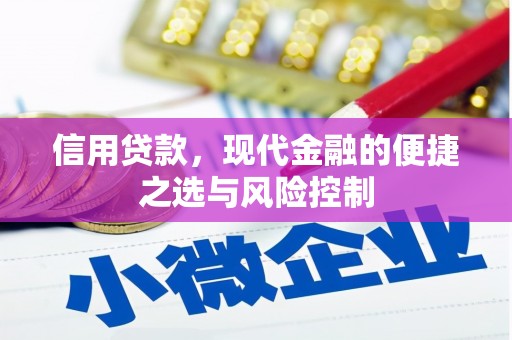 巧家信用贷款，现代金融的便捷之选与风险控制