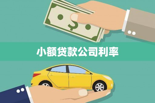 容县小额贷款公司利率