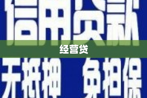 庐阳经营贷
