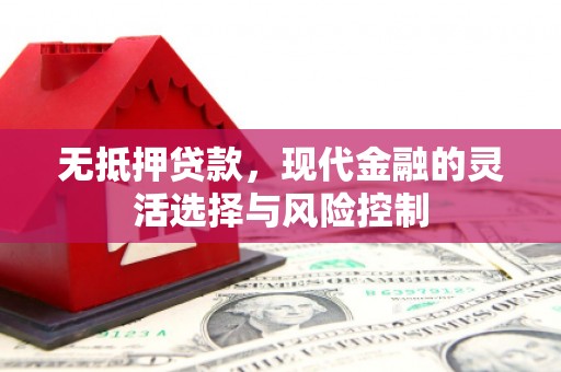 东乡族无抵押贷款，现代金融的灵活选择与风险控制