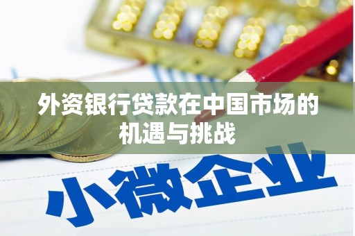 泽普外资银行贷款在中国市场的机遇与挑战