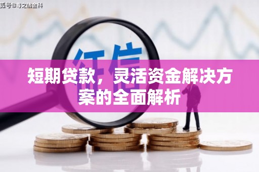 新界短期贷款，灵活资金解决方案的全面解析