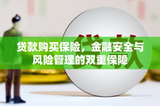 开平贷款购买保险，金融安全与风险管理的双重保障