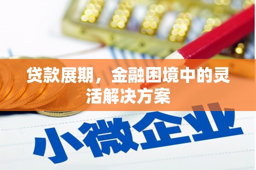 南平贷款展期，金融困境中的灵活解决方案
