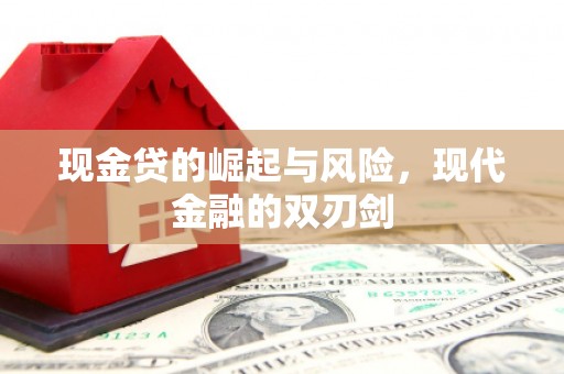 海盐现金贷的崛起与风险，现代金融的双刃剑