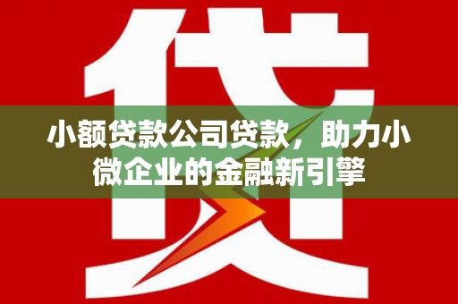 大名小额贷款公司贷款，助力小微企业的金融新引擎