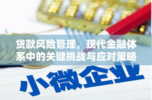 渭源贷款风险管理，现代金融体系中的关键挑战与应对策略