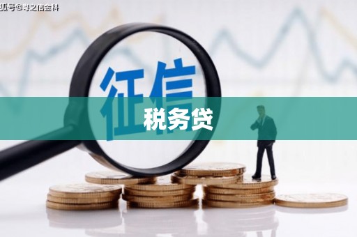 五华税务贷