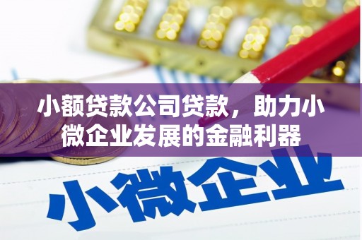 永寿小额贷款公司贷款，助力小微企业发展的金融利器