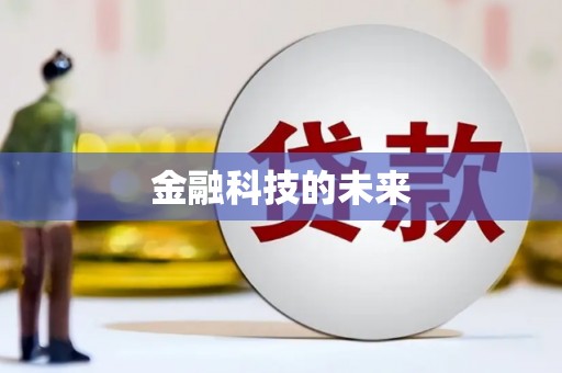 和布克赛尔金融科技的未来