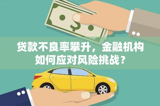 荷塘贷款不良率攀升，金融机构如何应对风险挑战？