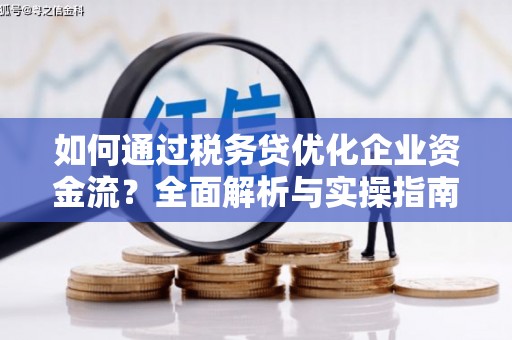 巴里坤如何通过税务贷优化企业资金流？全面解析与实操指南