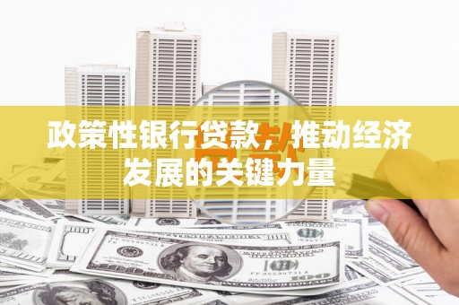 北市政策性银行贷款，推动经济发展的关键力量