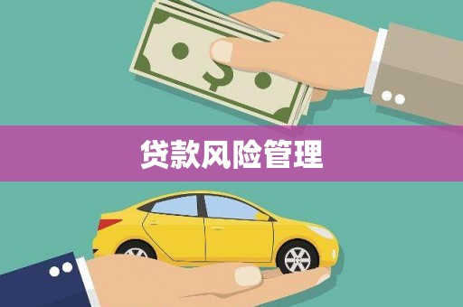 焉耆贷款风险管理