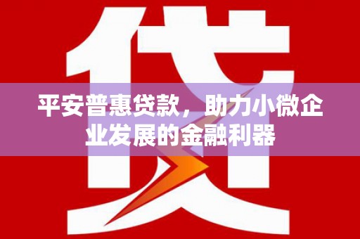 赤坎平安普惠贷款，助力小微企业发展的金融利器