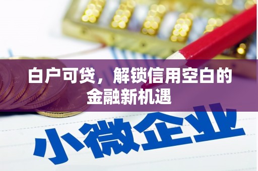 徐汇白户可贷，解锁信用空白的金融新机遇
