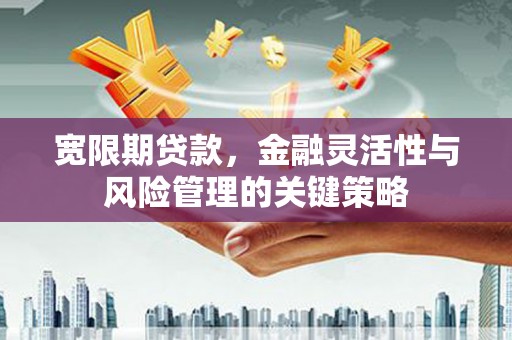 沙坡头宽限期贷款，金融灵活性与风险管理的关键策略