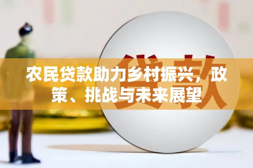 东乡族农民贷款助力乡村振兴，政策、挑战与未来展望