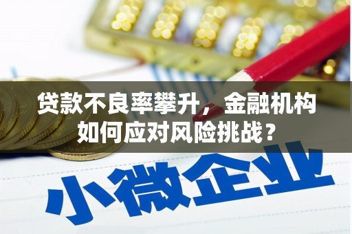 上林贷款不良率攀升，金融机构如何应对风险挑战？