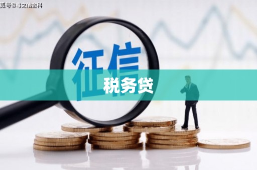 萍乡税务贷