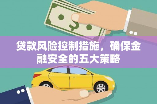 云龙贷款风险控制措施，确保金融安全的五大策略