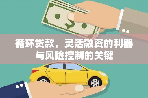 镇原循环贷款，灵活融资的利器与风险控制的关键